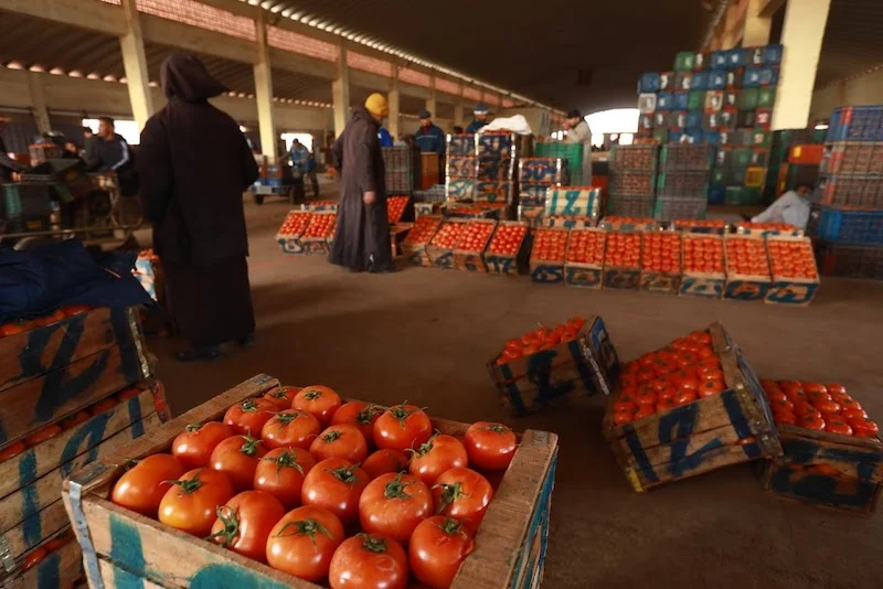 legumes-tomates-prix